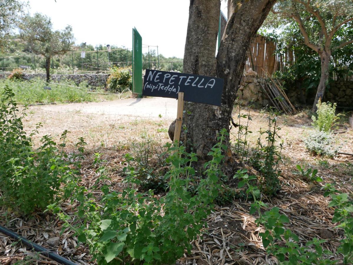 Pantalica Ranch Agriturismo Siciliano Villa Sortino Екстериор снимка