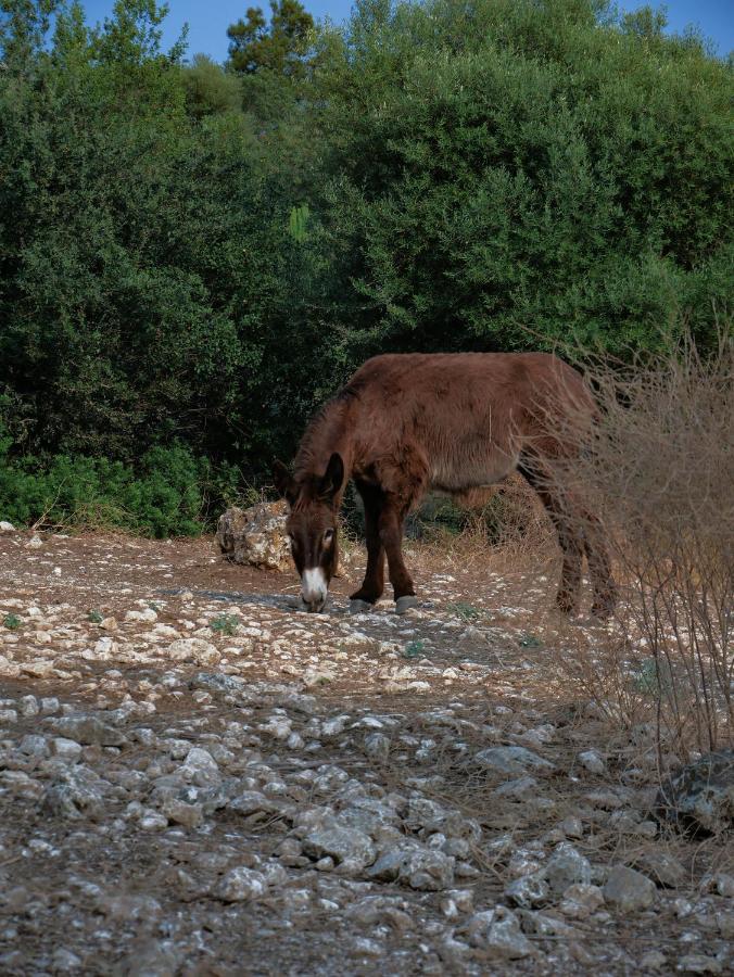 Pantalica Ranch Agriturismo Siciliano Villa Sortino Екстериор снимка