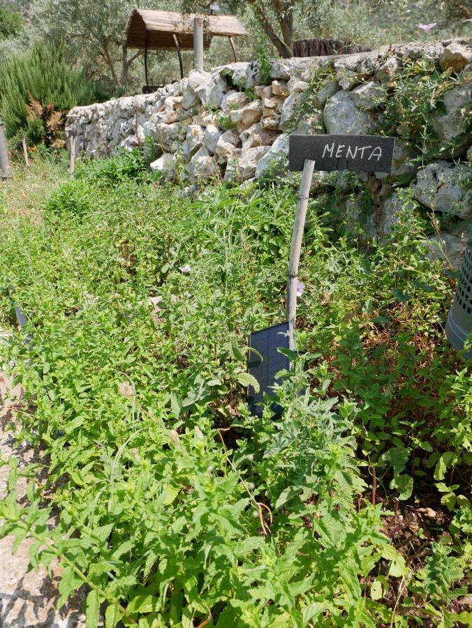 Pantalica Ranch Agriturismo Siciliano Villa Sortino Екстериор снимка