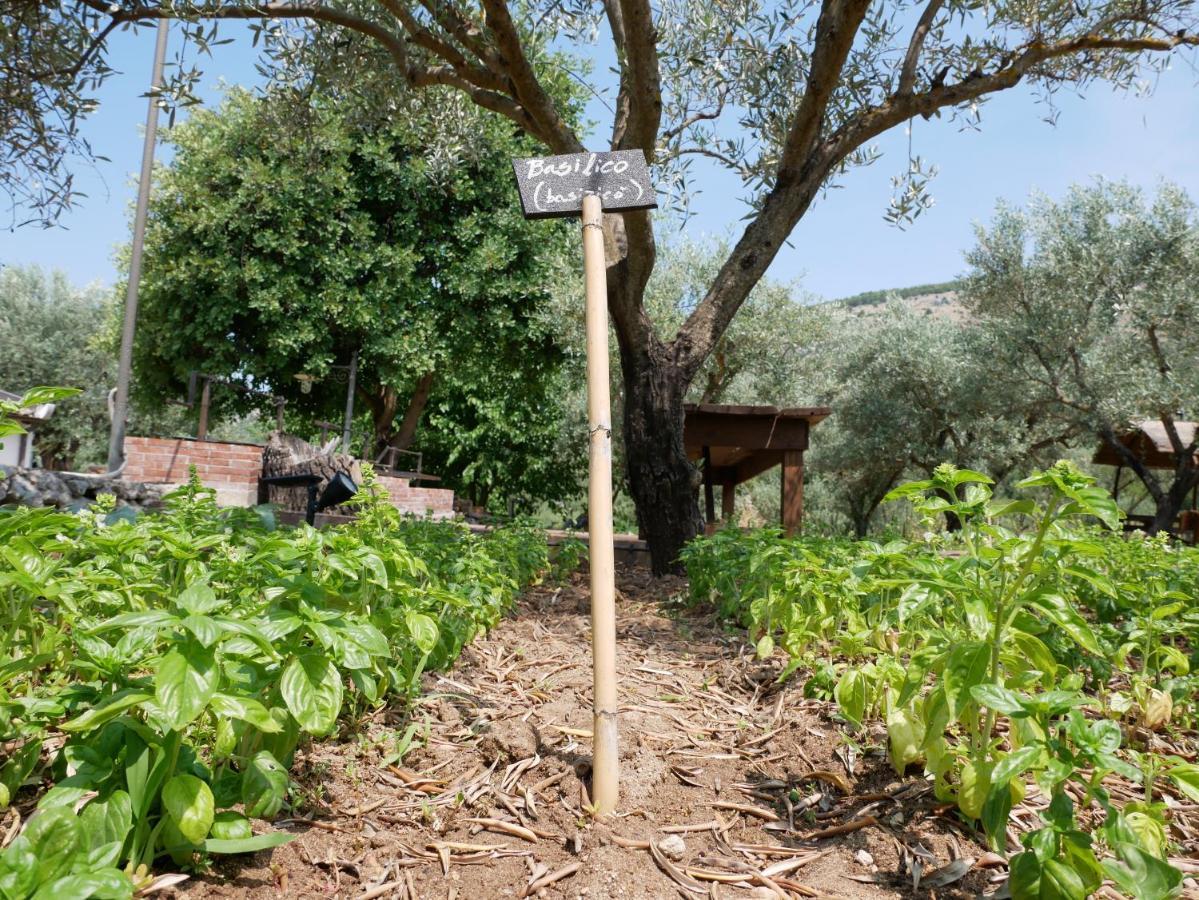 Pantalica Ranch Agriturismo Siciliano Villa Sortino Екстериор снимка